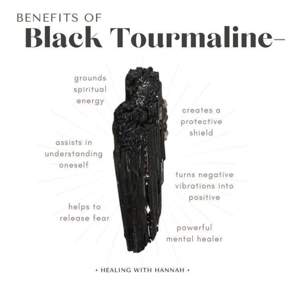 Black tourmaline crystal in MINI Terracotta Pot - Picture 3 of 6